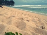 Pantai Pok Tunggal: Pesona pantai yang masih alami di Gunung Kidul Jogjakarta