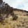 [Catatan Perjalanan 2013] Pendakian Gunung Lawu Lewat Jalur candi Cetho